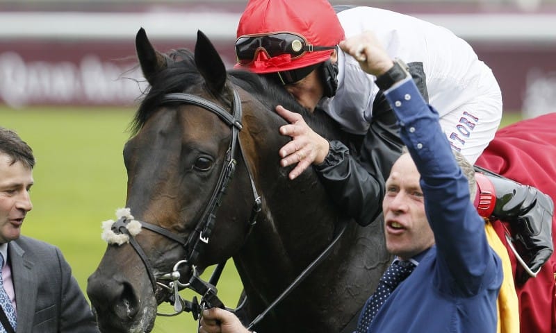 Golden Horn horse