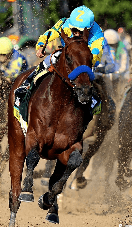 American Pharoah