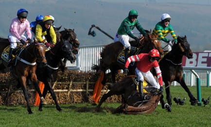 Cheltenham festival