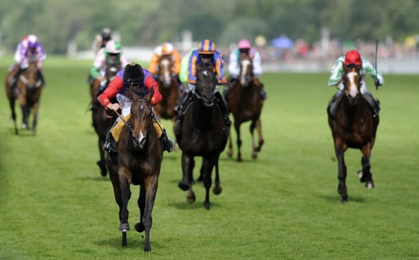 Estimate dethroned as courageous Leading Light wins Ascot Gold Cup
