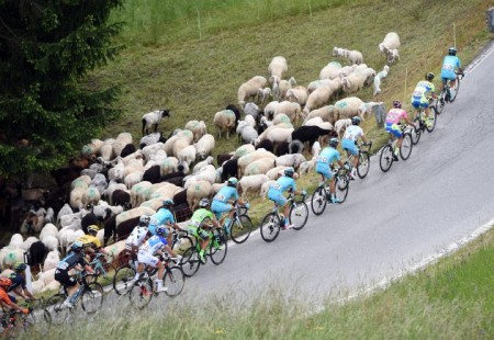 Contador Giro dItalia title