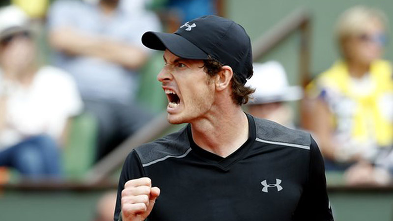 Andy Murray Fights